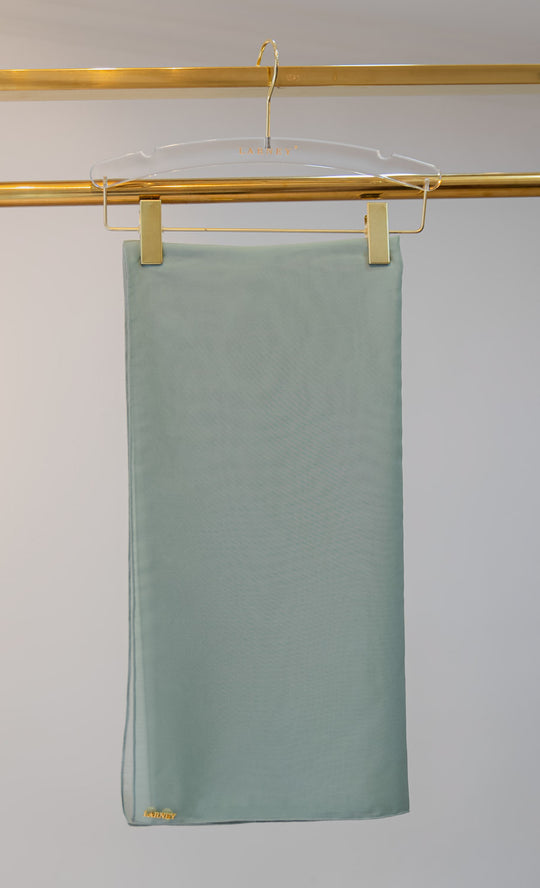 Dazzle Organza Bawal in Mist Green