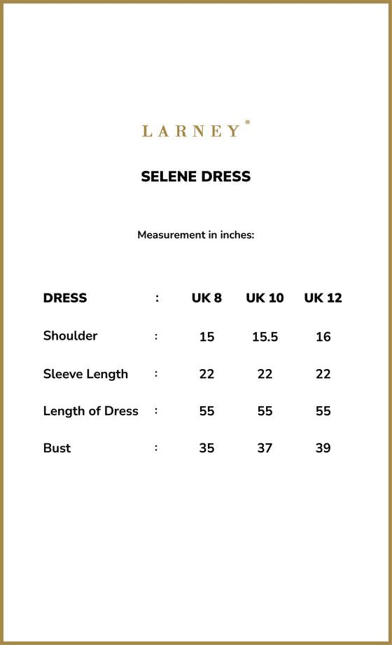 Selene Dress in Platinum Silver
