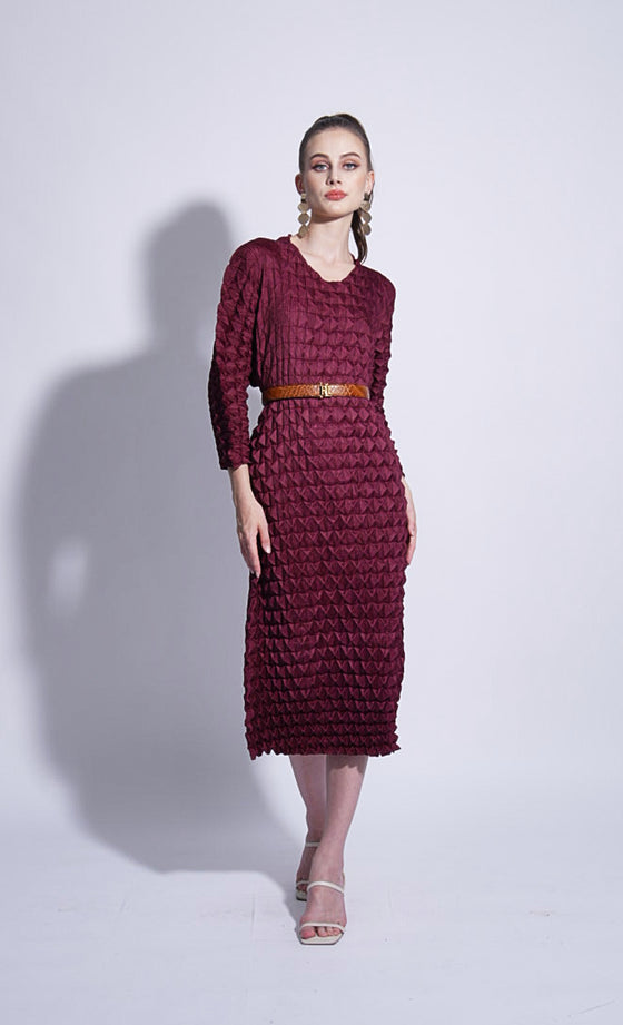 Miss Dynamic Dress in Burnt Maroon