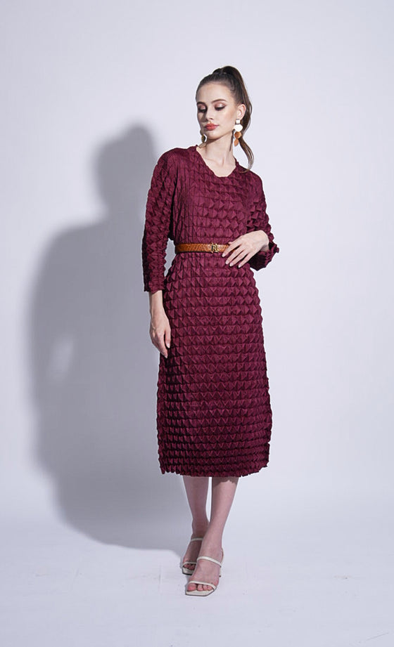 Miss Dynamic Dress in Burnt Maroon