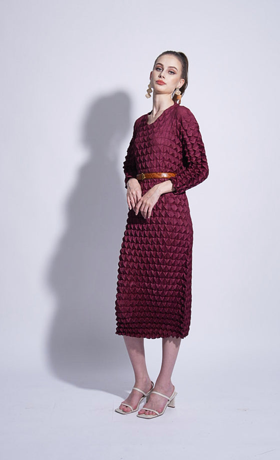 Miss Dynamic Dress in Burnt Maroon