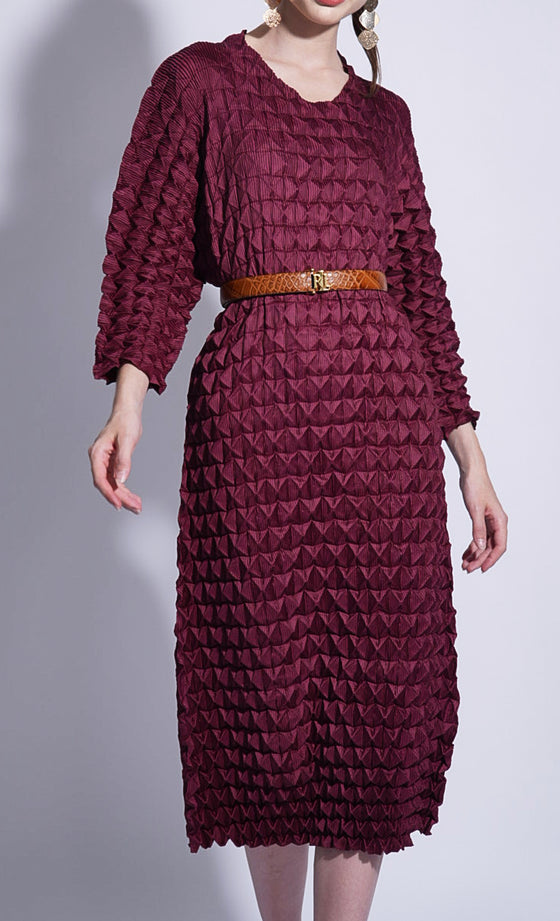 Miss Dynamic Dress in Burnt Maroon