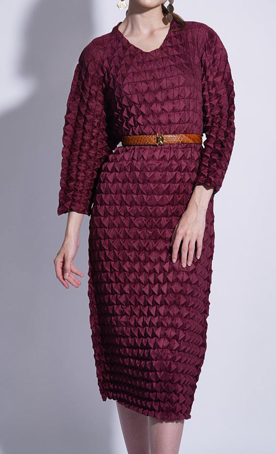 Miss Dynamic Dress in Burnt Maroon